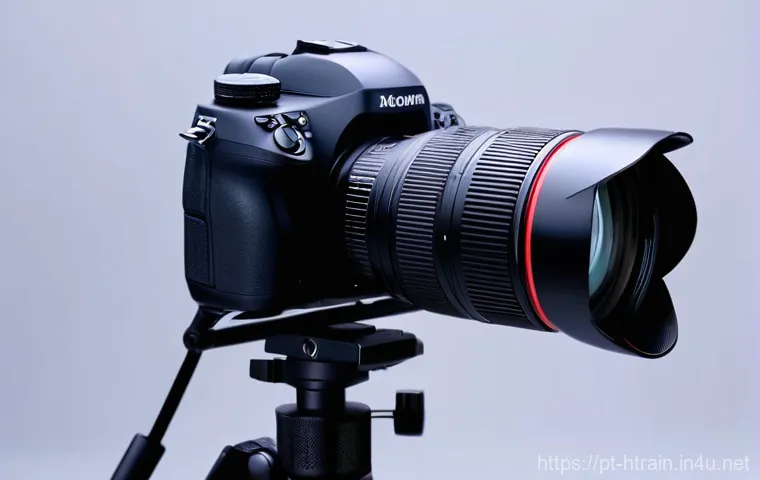 홈트 운동 효과 비교 홈트 vs 헬스장 이미지 2 홈트 운동 효과 비교 홈트 vs 헬스장 이미지 2